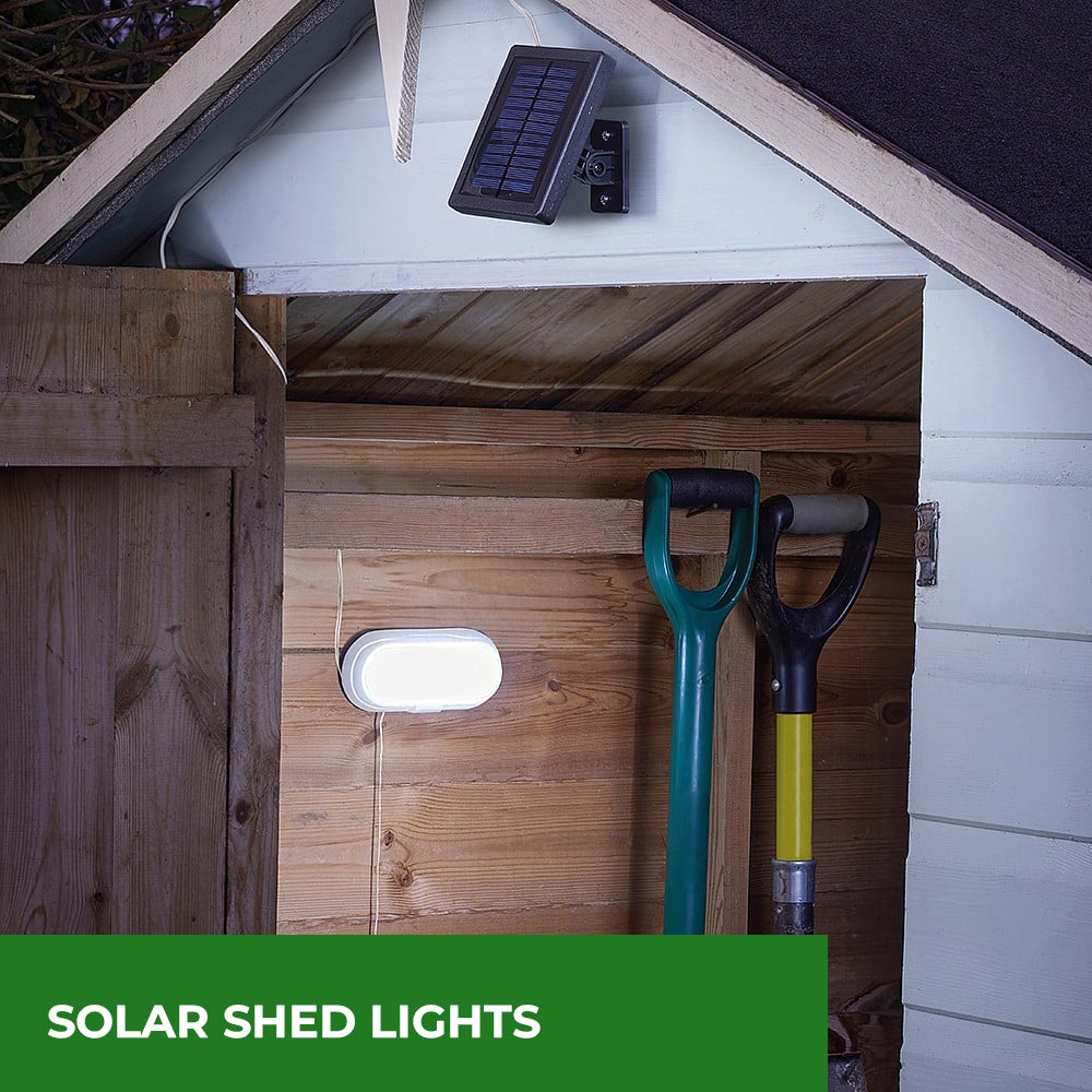 Solar Shed Lights